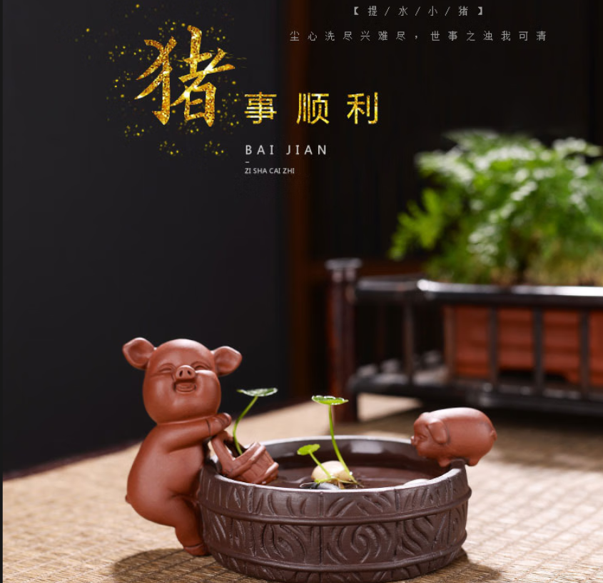 茶宠猪可养紫砂招财